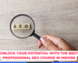 Unlock Your Potential with the Best Professional SEO Course in Indore